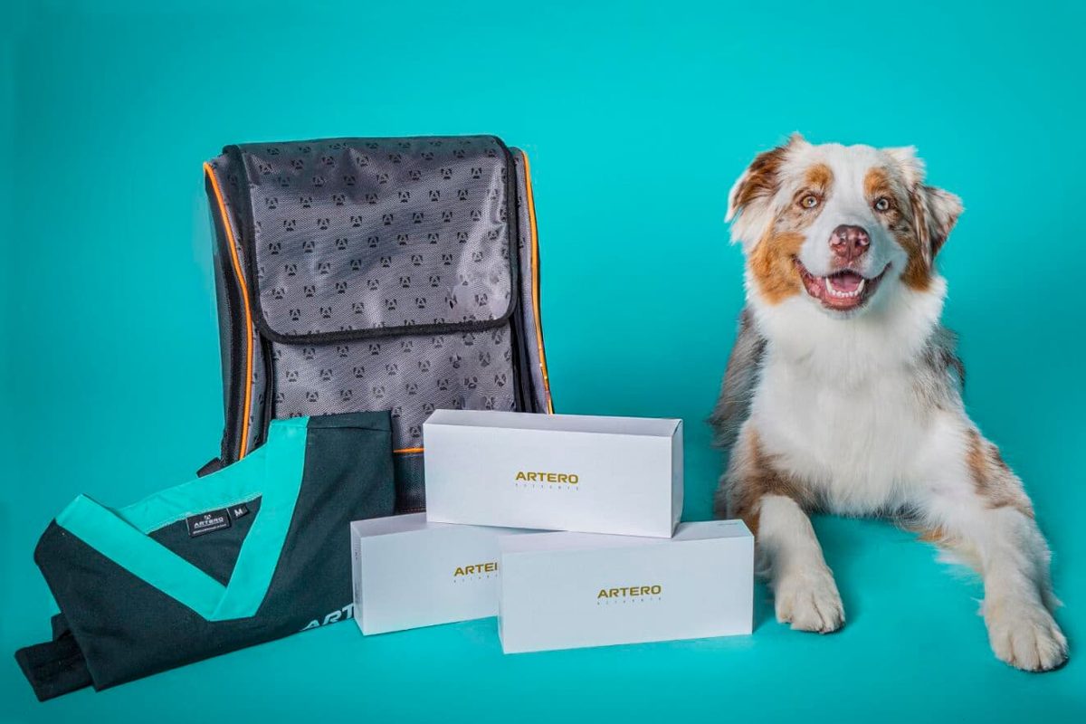Kit de peluquería canina con un perro